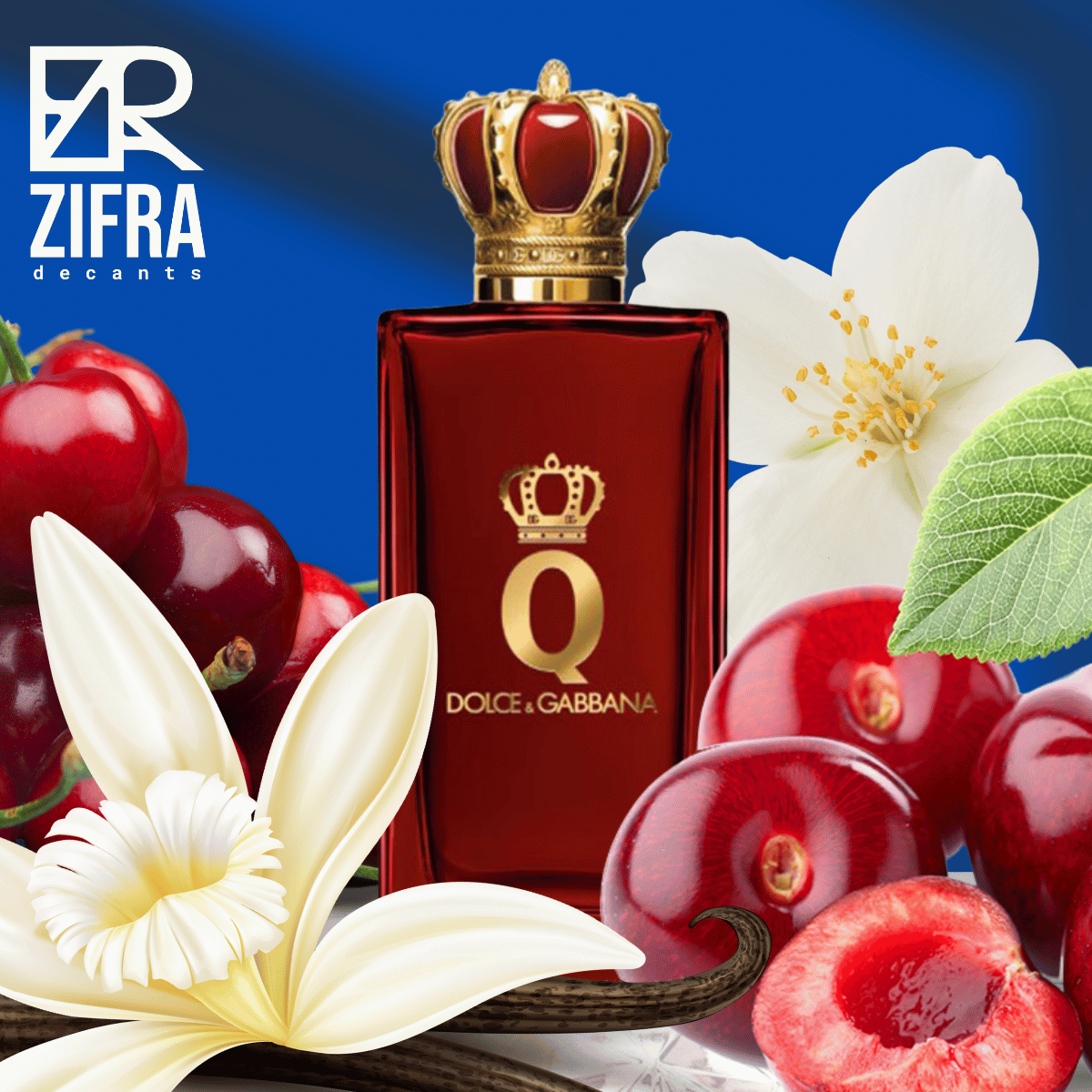 Q - Dolce & Gabbana - Zifra Decants 